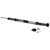 Coil spring DP coil/shaft/top cap/adjuster knob assy, sektor 150