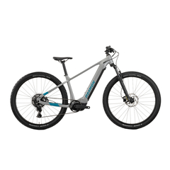 Bicicleta Electrica Raymon Mtb Hardray 500 2025 - 29 Inch, M, Gri - Cues