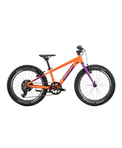 Bicicleta Copii Raymon Yanga 20 2025 - 20 Inch, Portocaliu - TY200