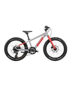 Bicicleta Copii Raymon Yanga 20 Pro 2025 - 20 Inch, Gri - Altus