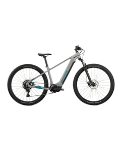 Bicicleta Electrica Raymon Mtb Hardray 500 2025 - 29 Inch, L, Gri - Cues