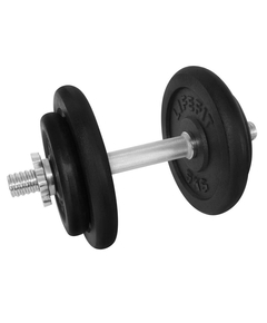 Gantera - 17 Kg, Set 4 Discuri, Negru-Argintiu