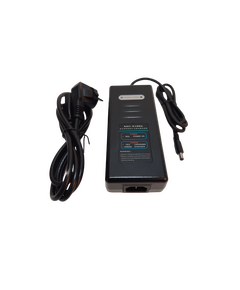 Incarcator baterie E-Bike 36V A2 pentru 28165 si Greenway