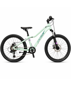 Bicicleta Copii polar Alaska - 24 Inch, Verde