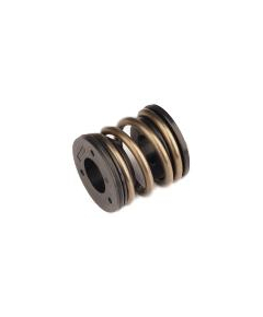 Domain Coil Topout Spring Assy - Silver