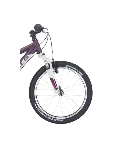 Bicicleta Copii Bulls Tokee 20 - 20 Inch, Violet
