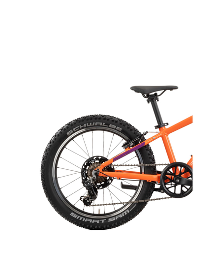 Bicicleta Copii Raymon Yanga 20 2025 - 20 Inch, Portocaliu - TY200