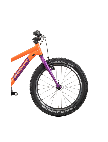 Bicicleta Copii Raymon Yanga 20 2025 - 20 Inch, Portocaliu - TY200