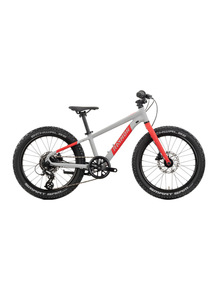 Bicicleta Copii Raymon Yanga 20 Pro 2025 - 20 Inch, Gri - Altus