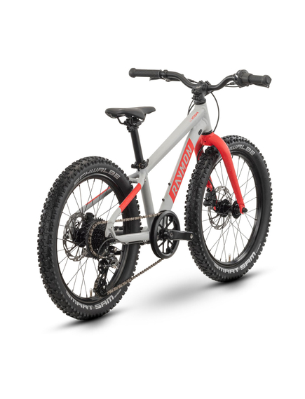 Bicicleta Copii Raymon Yanga 20 Pro 2025 - 20 Inch, Gri - Altus