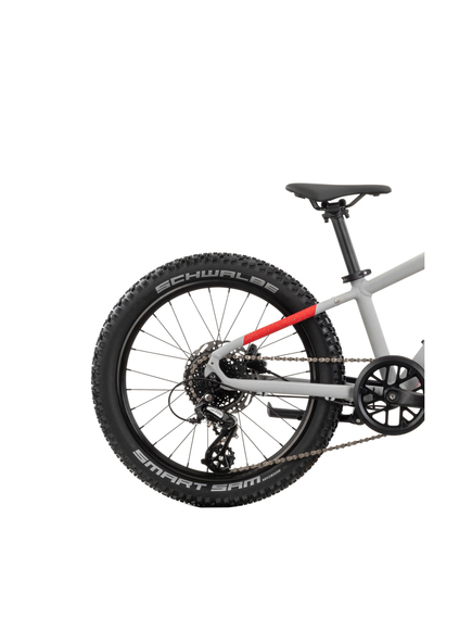 Bicicleta Copii Raymon Yanga 20 Pro 2025 - 20 Inch, Gri - Altus