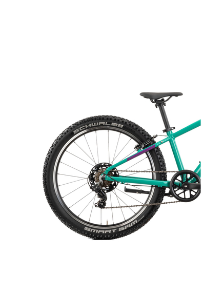 Bicicleta Copii Raymon Yanga 24 2025 - 24 Inch, Verde - TY200