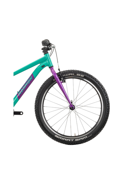 Bicicleta Copii Raymon Yanga 24 2025 - 24 Inch, Verde - TY200