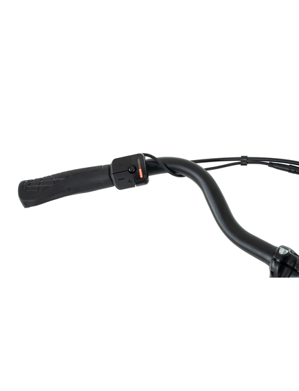 Bicicleta Electrica Stella Livorno Dama FDST RTE 2.1 - 28 Inch, L, Albastru Bicicleta Electrica Stella Livorno Dama FDST RTE 2.1 - 28 Inch, L, Albastru