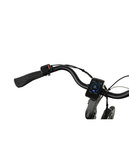 Bicicleta Electrica Stella Livorno Dama FDST RTE 2.1 - 28 Inch, L, Verde