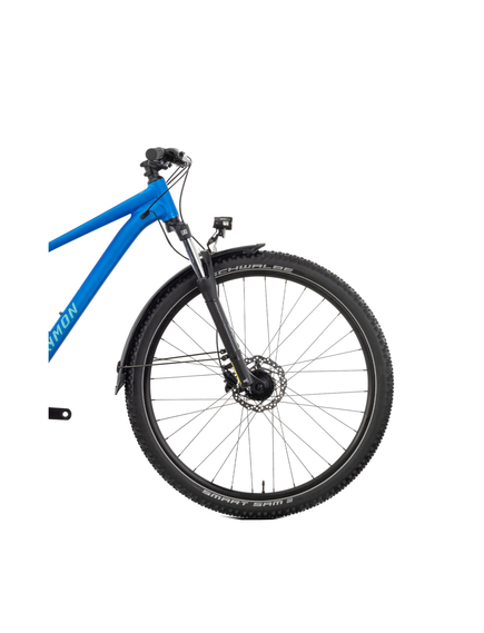 Bicicleta Mtb Raymon Nayta Street 2025 - 29 Inch, L, Albastru