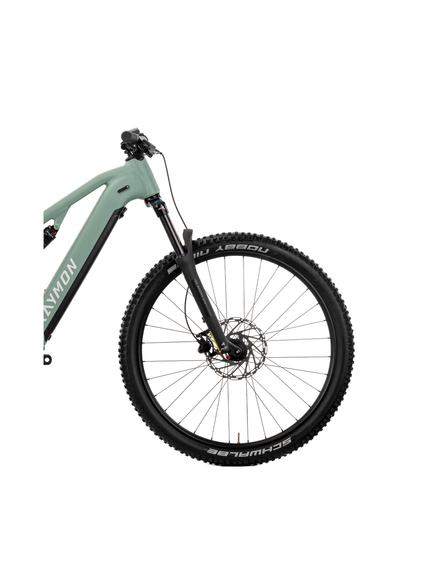 Bicicleta Electrica Raymon Full Suspension Trailray 120 2025 - 29 Inch, L, Verde - Deore LG