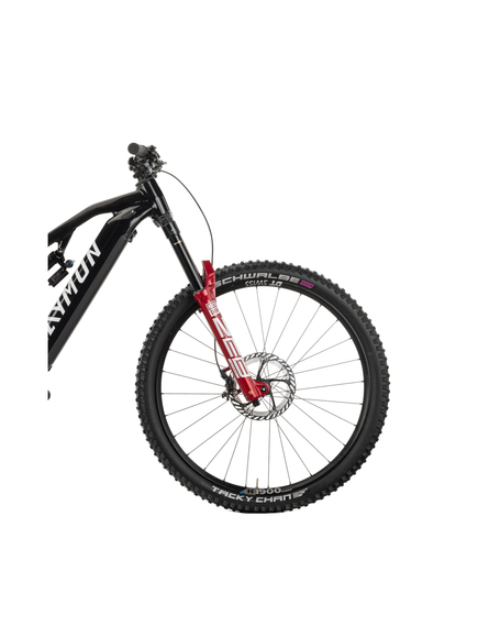 Bicicleta Electrica Raymon Full Suspension Trailray 170 Ultra 2025 - 29 Inch, L, Negru - XT Bicicleta Electrica Raymon Full Suspension Trailray 170 Ultra 2025 - 29 Inch, L, Negru - XT