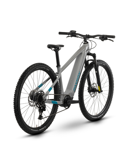 Bicicleta Electrica Raymon Mtb Hardray 500 2025 - 29 Inch, L, Gri - Cues Bicicleta Electrica Raymon Mtb Hardray 500 2025 - 29 Inch, L, Gri - Cues