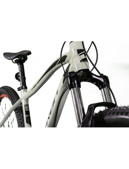 Bicicleta Mtb Devron 2023 RM2.9 - 29 Inch, L, Argintiu
