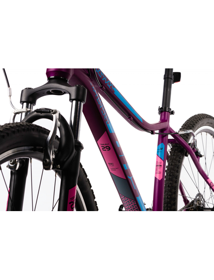 Bicicleta Mtb Terrana 2922 - 29 Inch, M, Violet