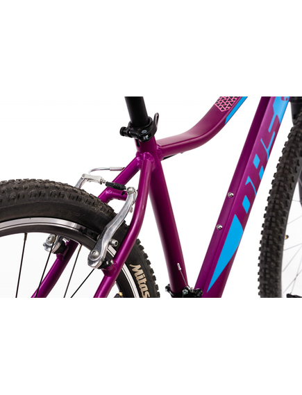 Bicicleta Mtb Terrana 2922 - 29 Inch, S, Violet