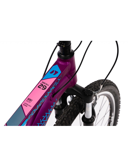 Bicicleta Mtb Terrana 2922 - 29 Inch, S, Violet