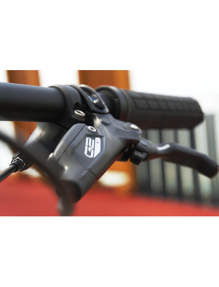 Bicicleta Full Suspension Raymon FullRay 170 10.0 - 29 Inch, M, Verde