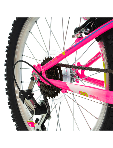 Bicicleta Copii DHS Modesty - 20 Inch, Roz Bicicleta Copii DHS Modesty - 20 Inch, Roz