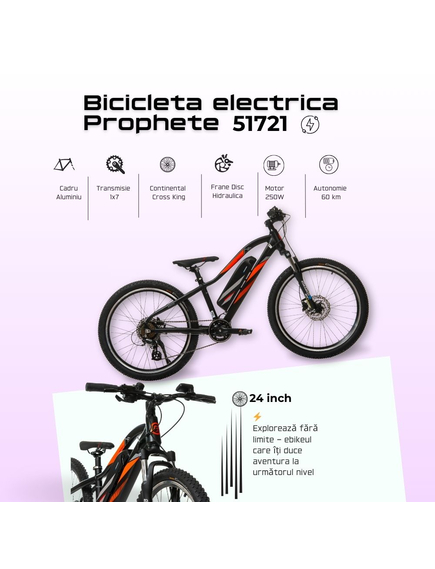 Bicicleta Electrica Prophete 51721 - 24 Inch, S, Negru Bicicleta Electrica Prophete 51721 - 24 Inch, S, Negru