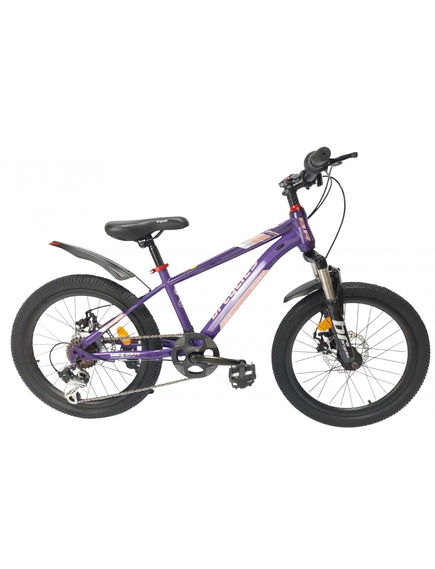 Bicicleta Copii BR BR-D2007M 2025 - 20 inch, Mov