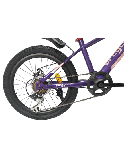 Bicicleta Copii BR BR-D2007M 2025 - 20 inch, Mov