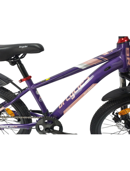 Bicicleta Copii BR BR-D2007M 2025 - 20 inch, Mov
