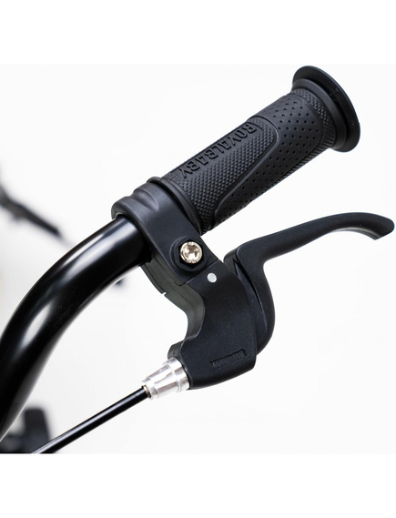 Bicicleta Copii Royal Baby EZ Freestyle - 14 Inch, Albastru