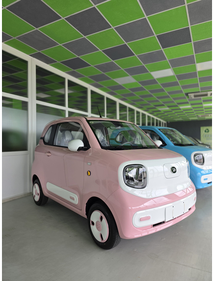 Masina electrica Aigo M1 urbana - autonomie 180 km, 4 locuri, permis B1, Roz