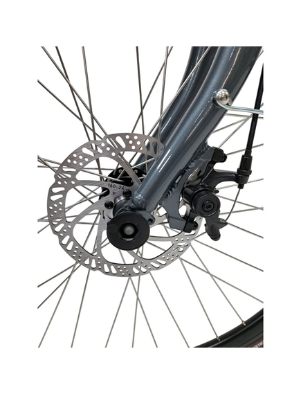 Bicicleta Oras Stella 28080 - 28 inch, L, Alb-Gri