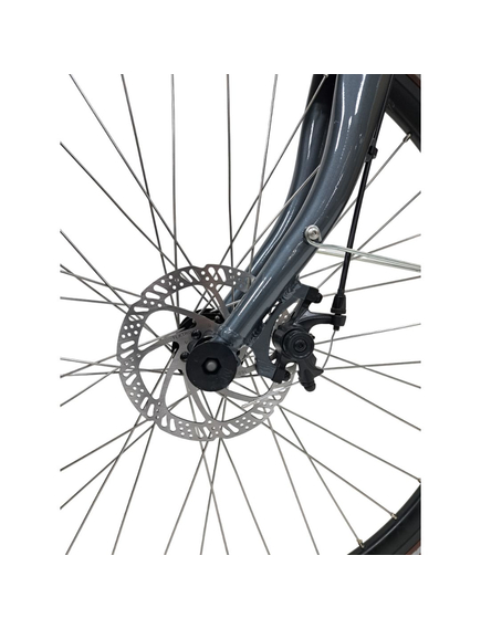 Bicicleta Oras Stella 28080 - 28 inch, L, Gri