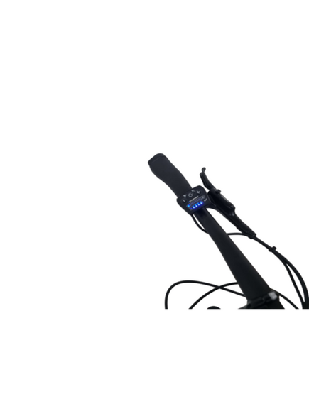 Bicicleta electrica Graveler 53312 - 28 inch, M, Gri Bicicleta electrica Graveler 53312 - 28 inch, M, Gri