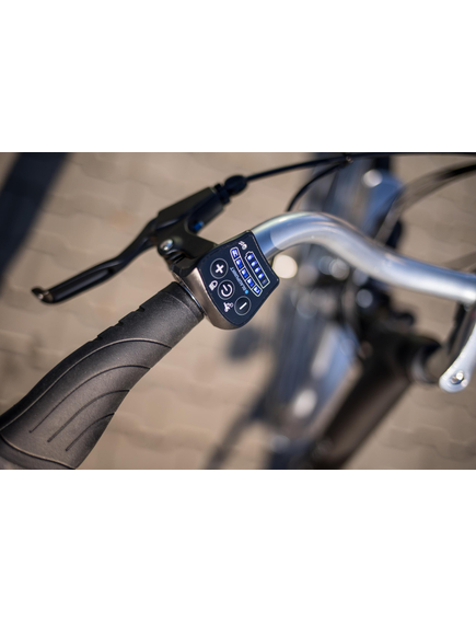 Bicicleta electrica Prophete 52230 - 28 inch, M, Negru