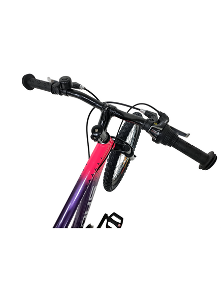 Bicicleta Copii Dhs Terrana 2023, model 2026 - 20 Inch, Violet-Roz