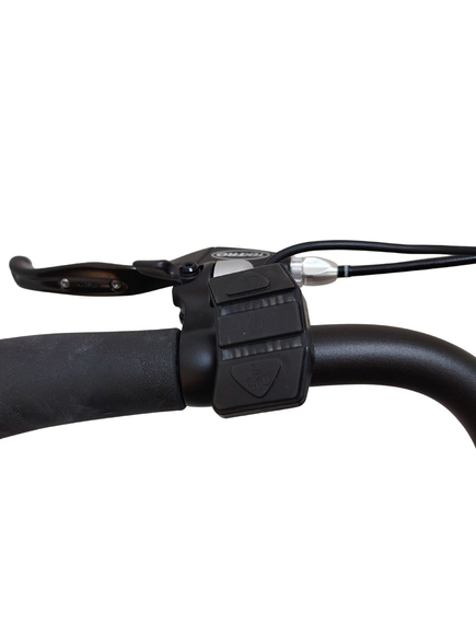 Bicicleta electrica Devron 28220 - 28 inch, Vbrake, M, Negru