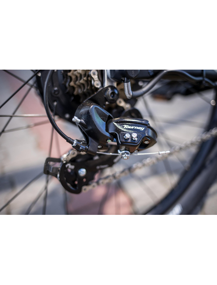 Bicicleta electrica Mtb Prophete 53621 - 27.5 inch, M, Negru