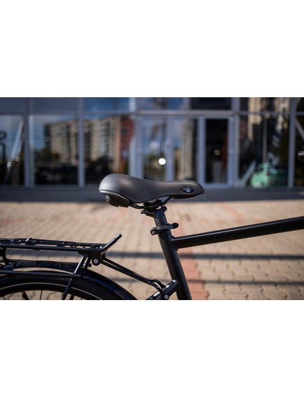 Bicicleta electrica Prophete 51581 - 28 inch, XL, Negru