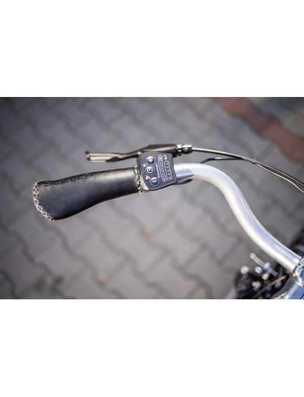 Bicicleta electrica Prophete 52382 - 26 inch, S, Negru