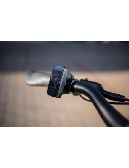 Bicicleta electrica Prophete 52581 - 28 inch, L, Negru