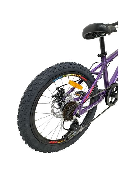 Bicicleta Copii Dhs Terrana 2023, model 2026 - 20 Inch, Violet-Roz