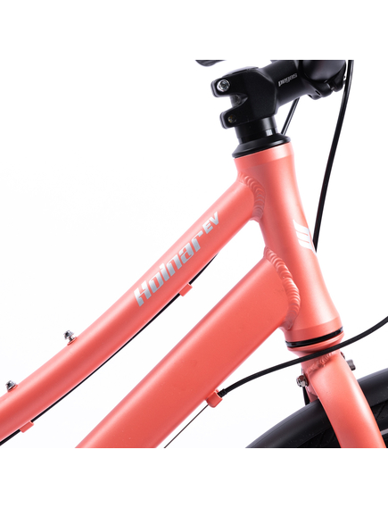 Bicicleta Oras Pegas Hoinar - 28 inch, M, Roz