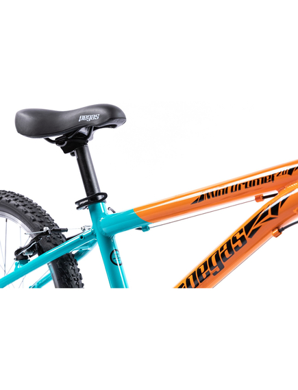 Bicicleta copii Pegas Mini Drumet - 20 inch, Portocaliu/Turcoaz