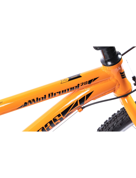 Bicicleta copii Pegas Mini Drumet - 20 inch, Portocaliu/Turcoaz