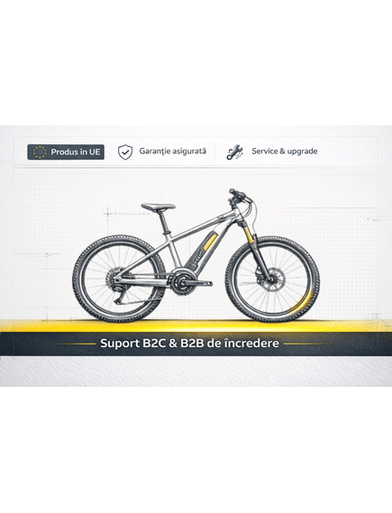 Bicicleta electrica MTB DHS 52432 - 29 inch, L, Negru